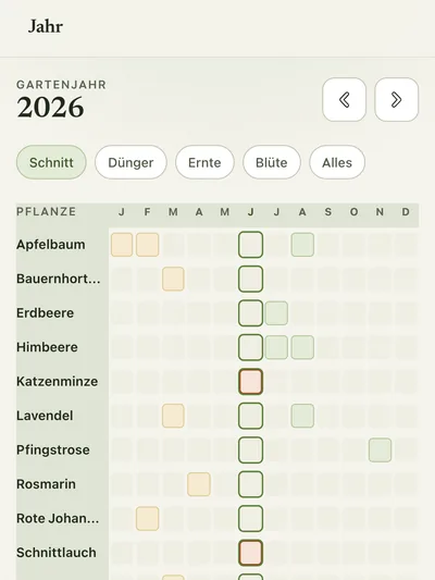 Jahresübersicht: wann welche Pflanze geschnitten wird